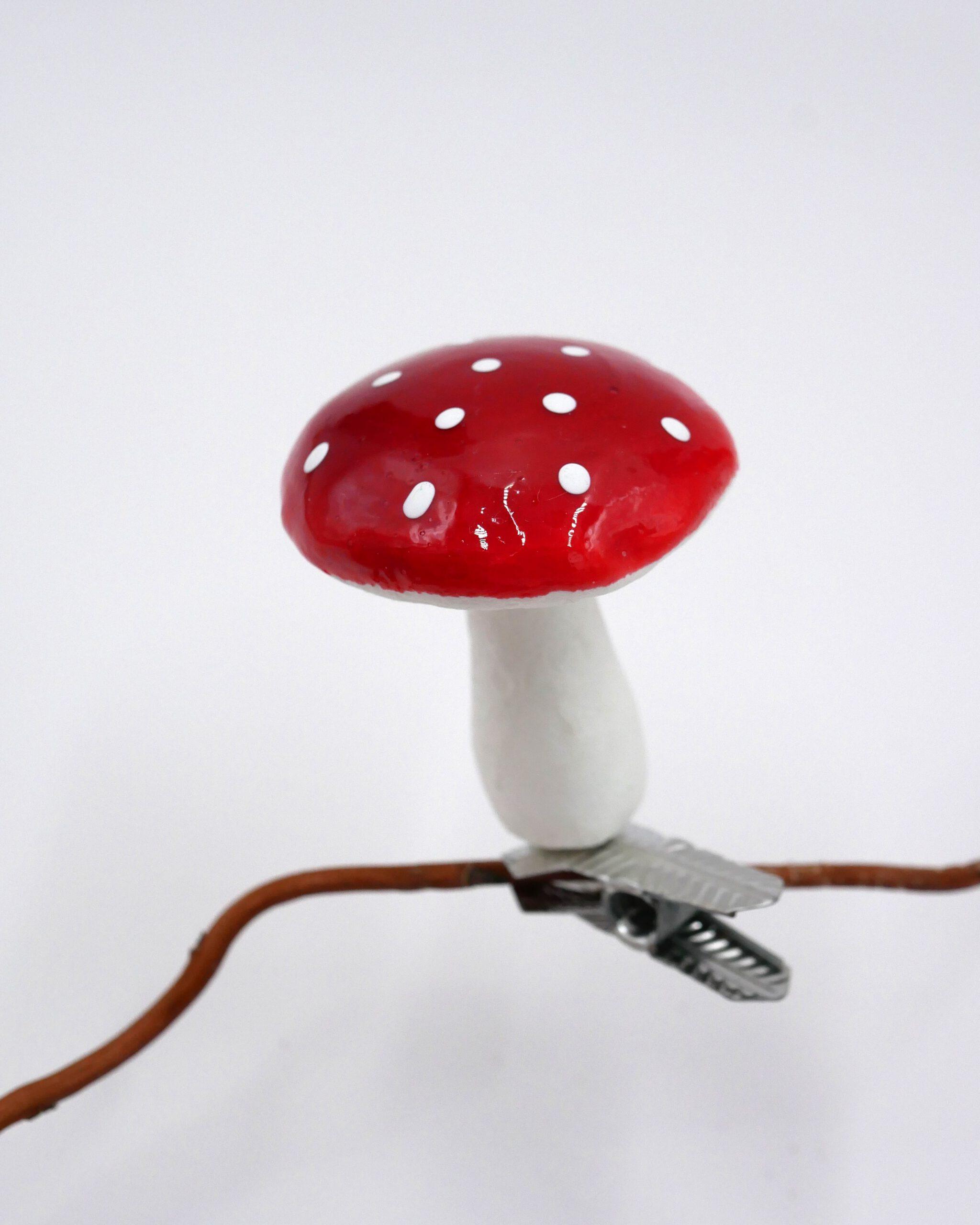 Wattepilze in vier Größen