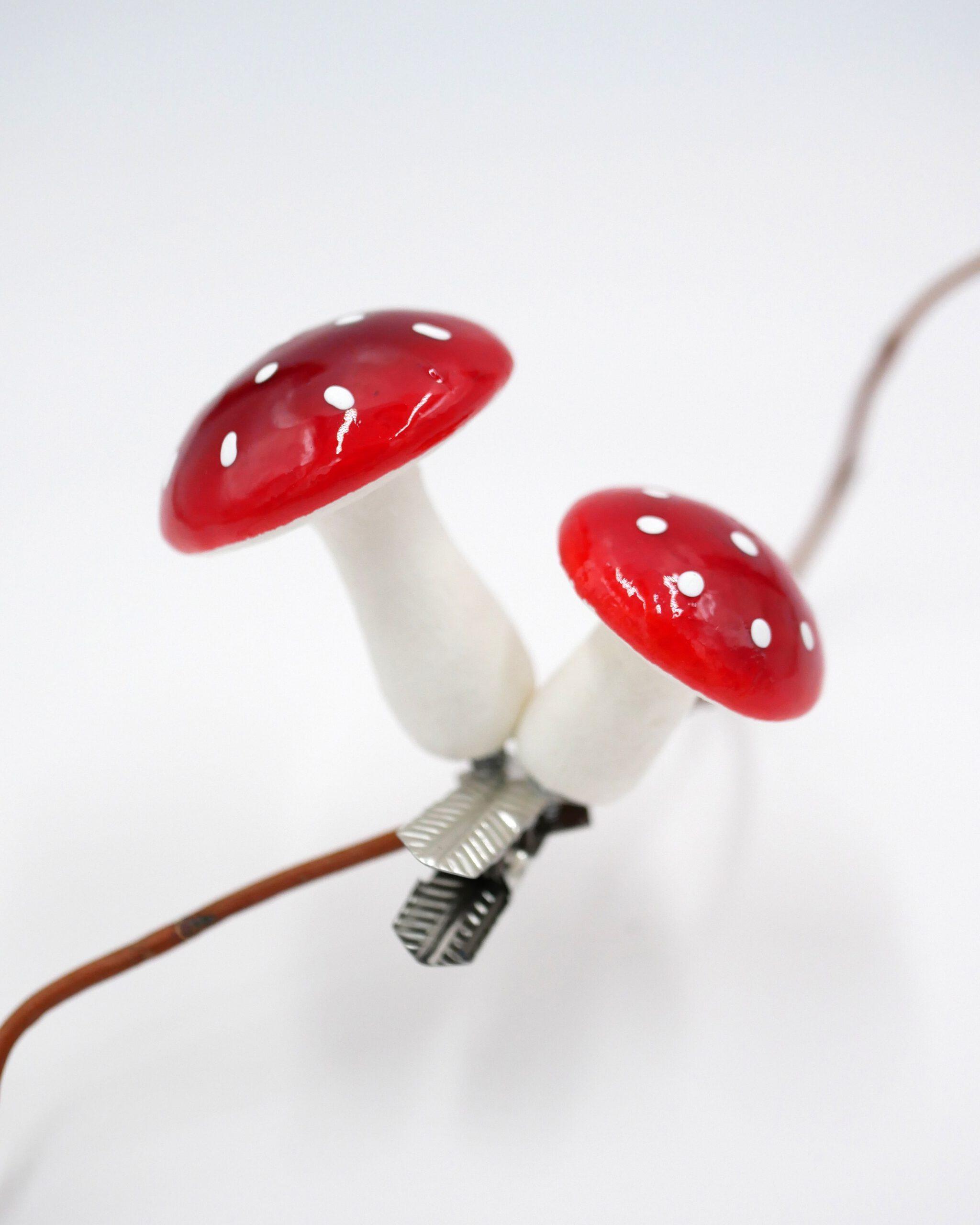 Wattepilze in vier Größen