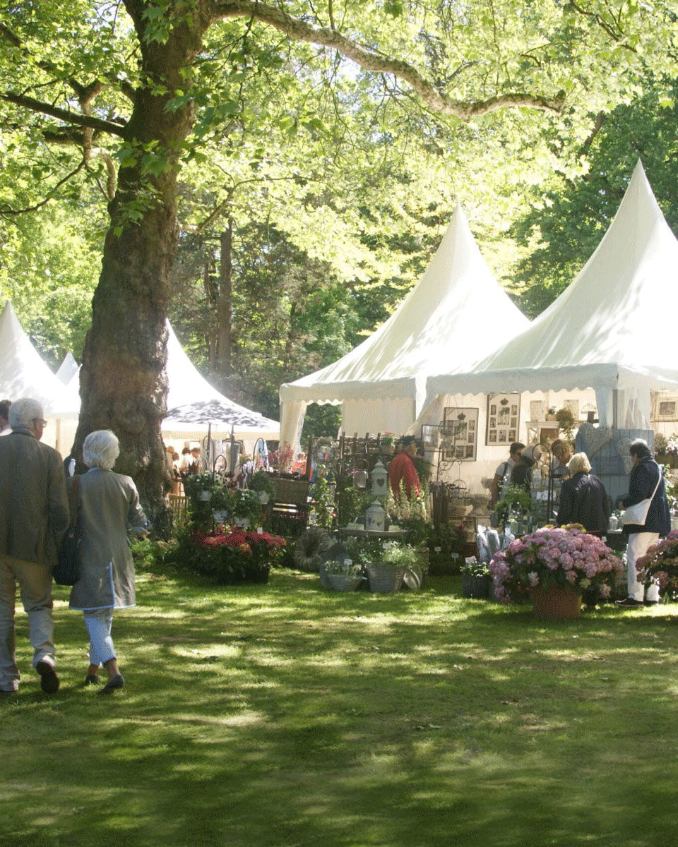The Salonette