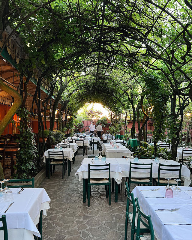 The Salonette