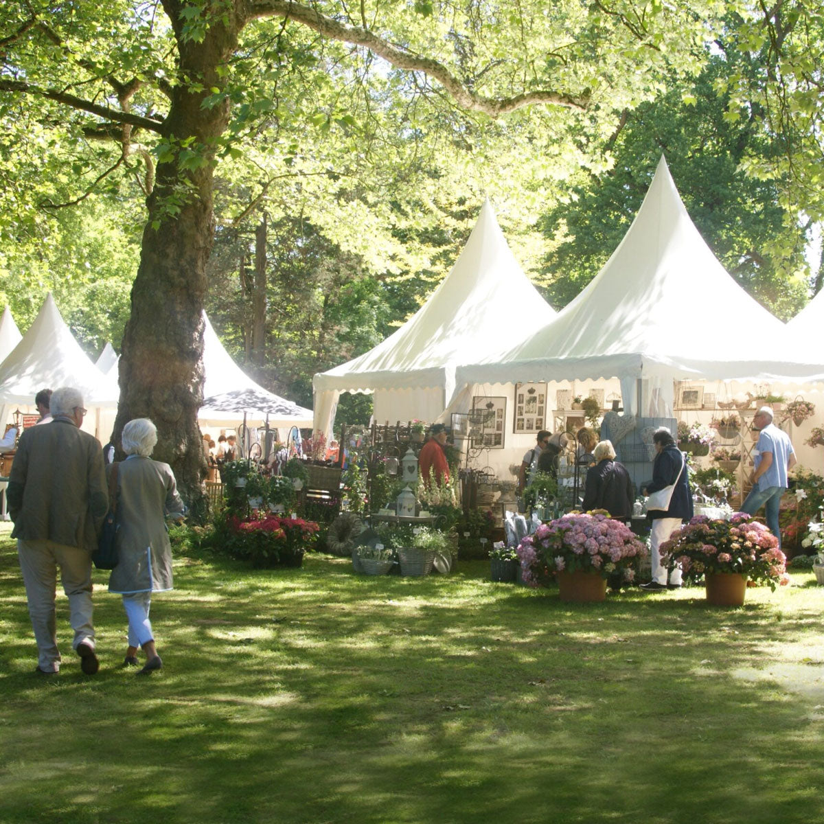 The Salonette