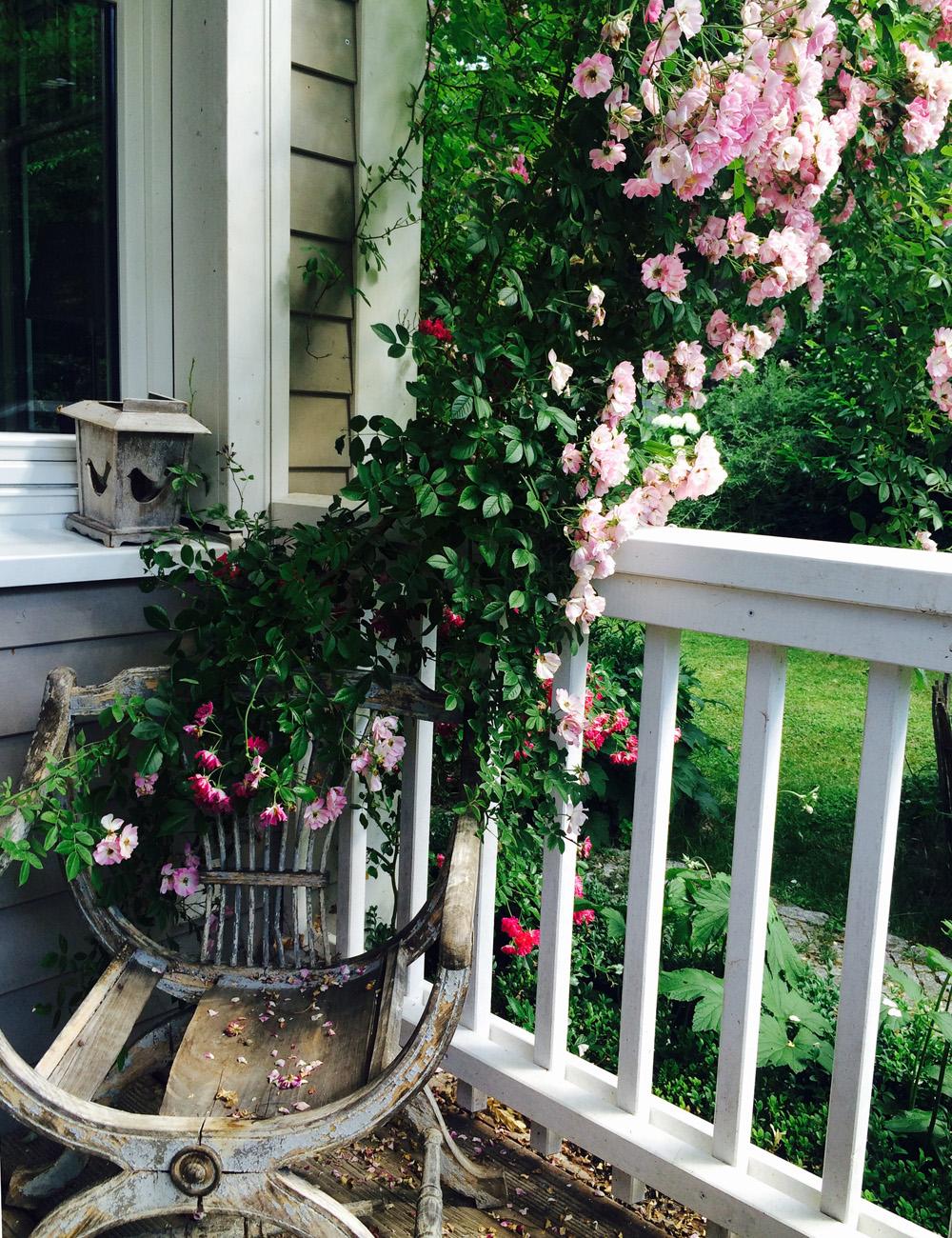 Cottage Garten - Terrasse mit Rosenranken
